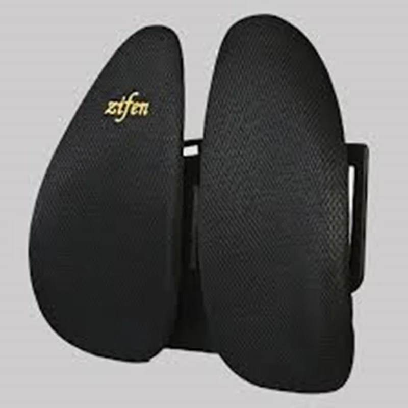 پشتی دوکفه ای زیفن